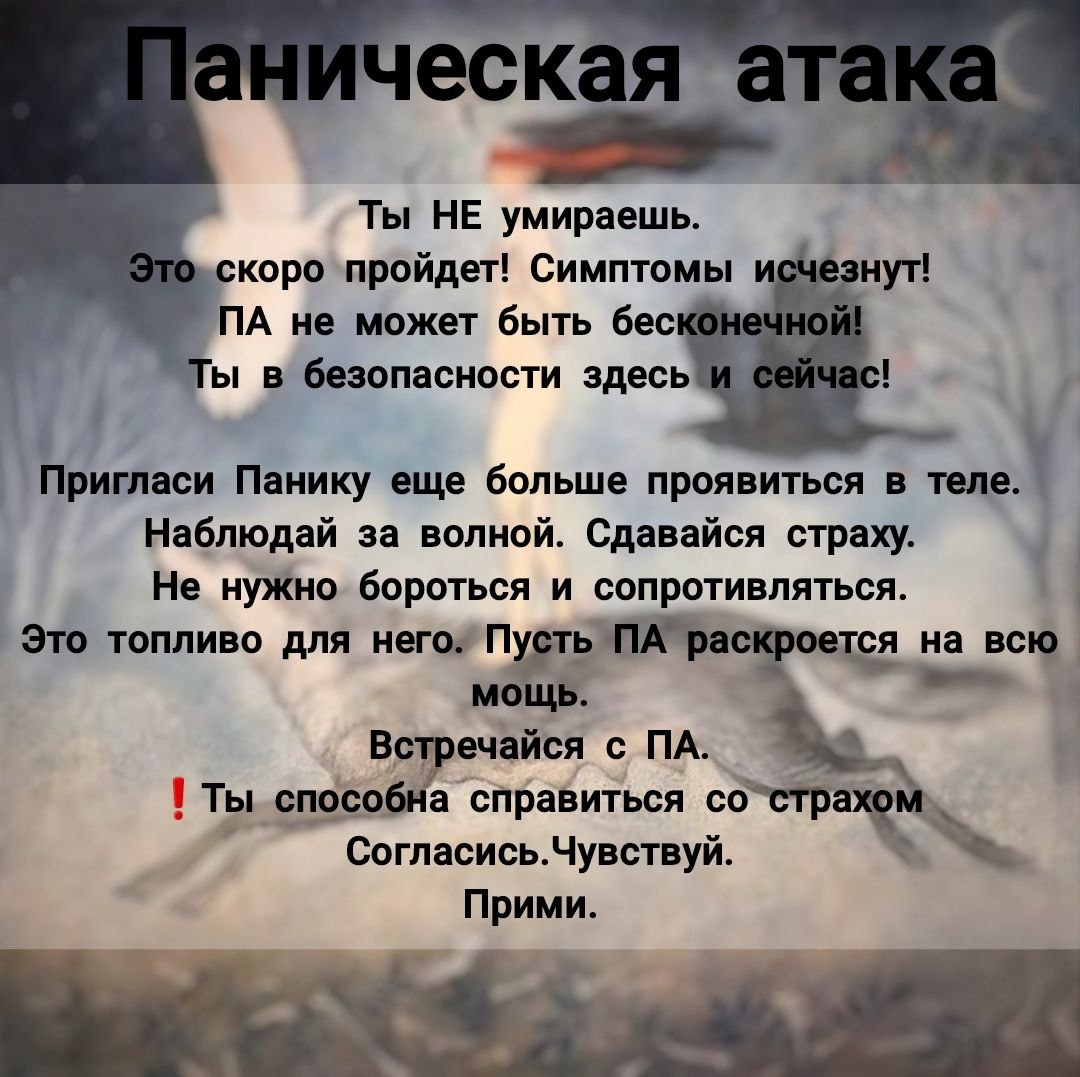 Автор Психолог Елисеева Мария