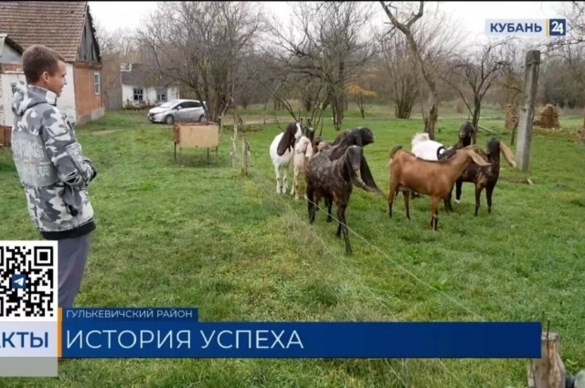    Попросивший у губернатора коз камори рассказал, как развивается ферма