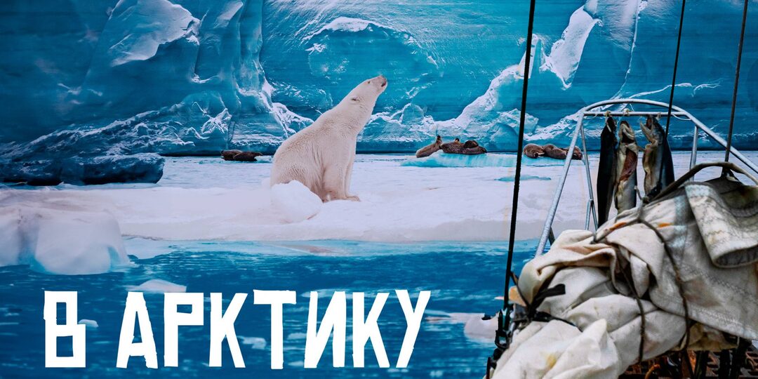 Никогда не думал, что нечто подобное можно увидеть на большом экране!