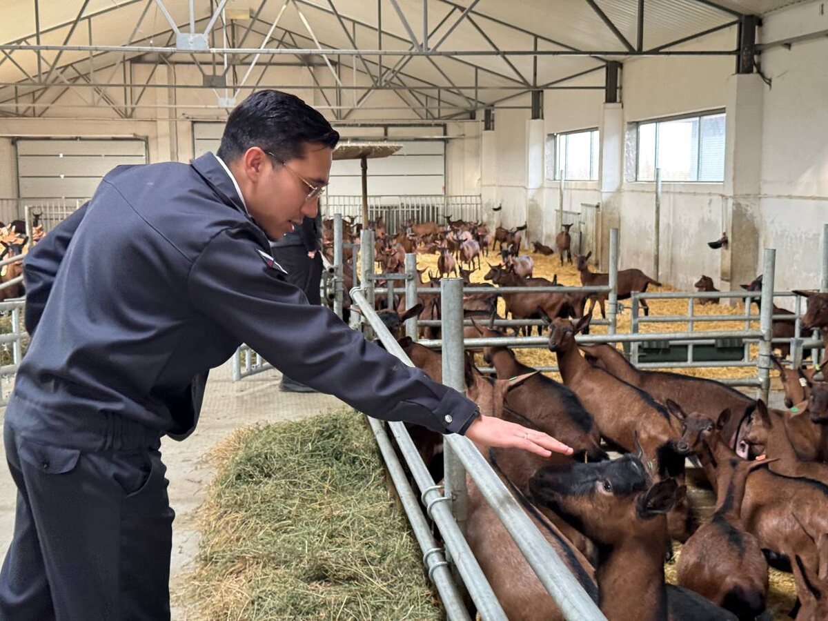    Фото: пресс-службп АЧМУ Россельхознадзора