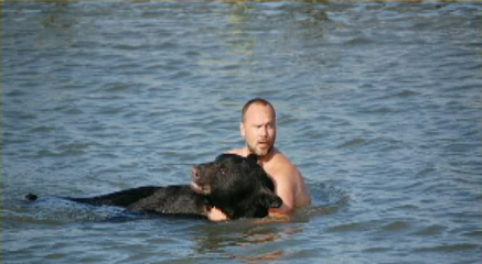 Мужчина нырнул в океан, чтобы спасти тонущего медведя
