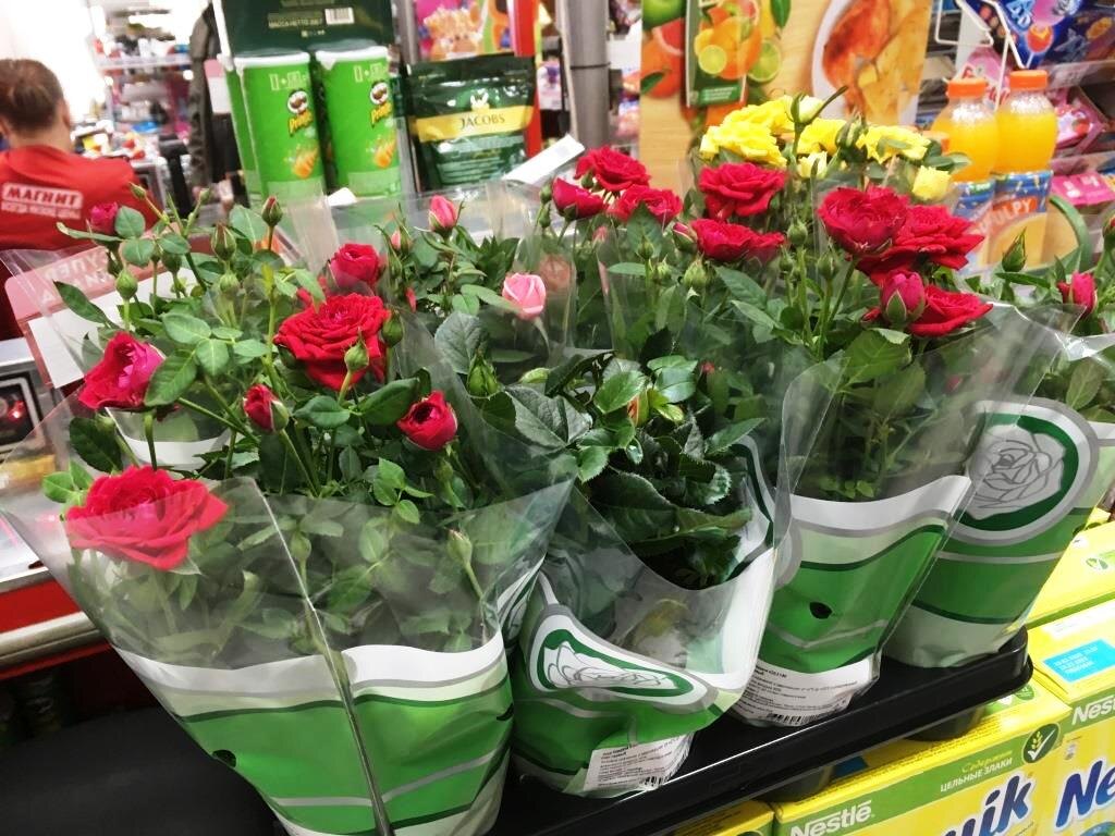 Уже несколько последних лет такие розы можно взять даже на сдачу в магазине продуктов