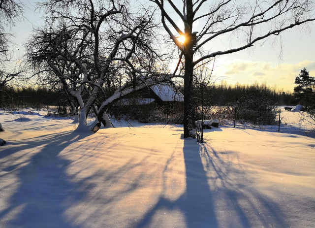   Наталья Лещинская