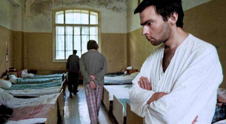 Фото из открытых источников.