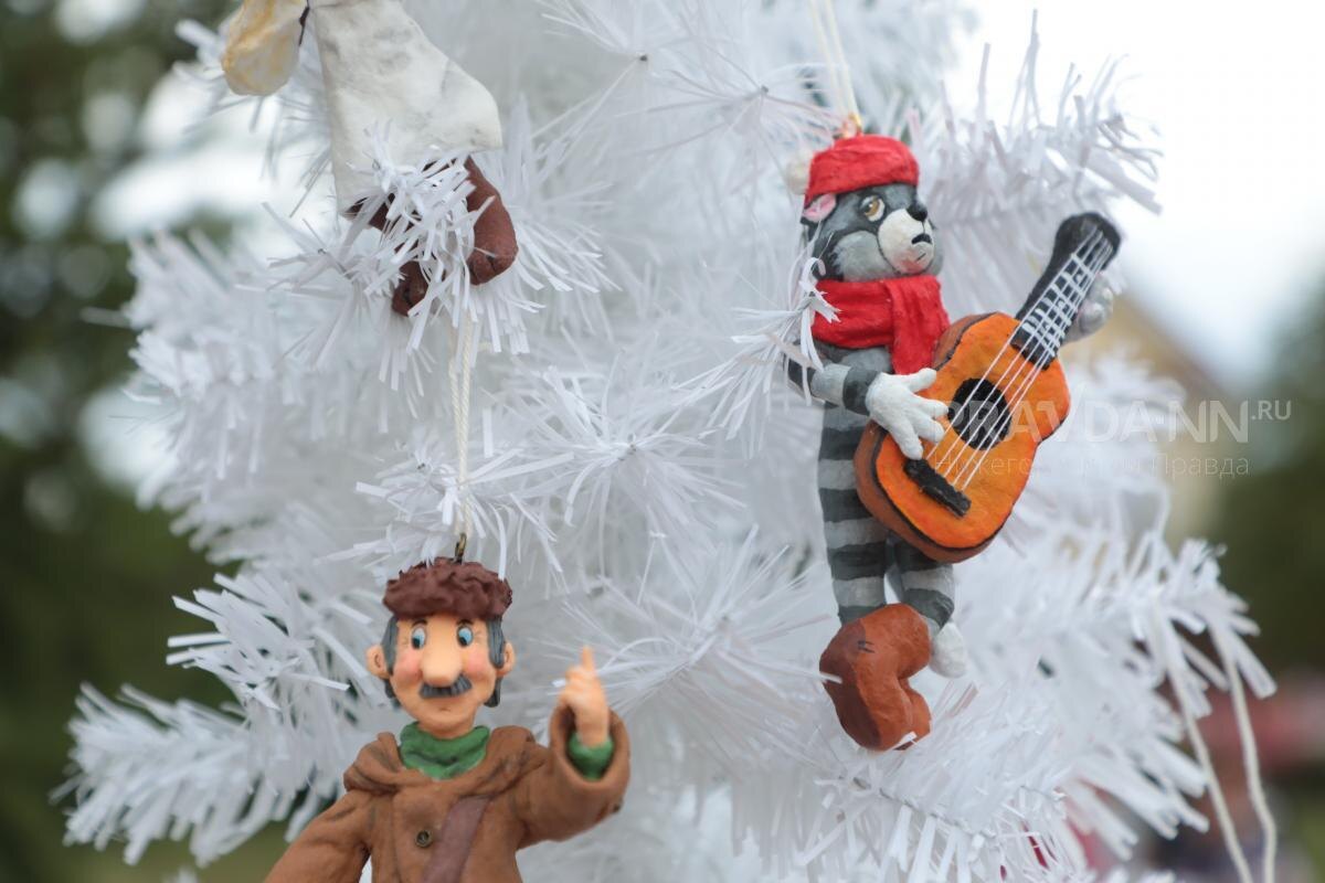    Проект по развитию нижегородского \