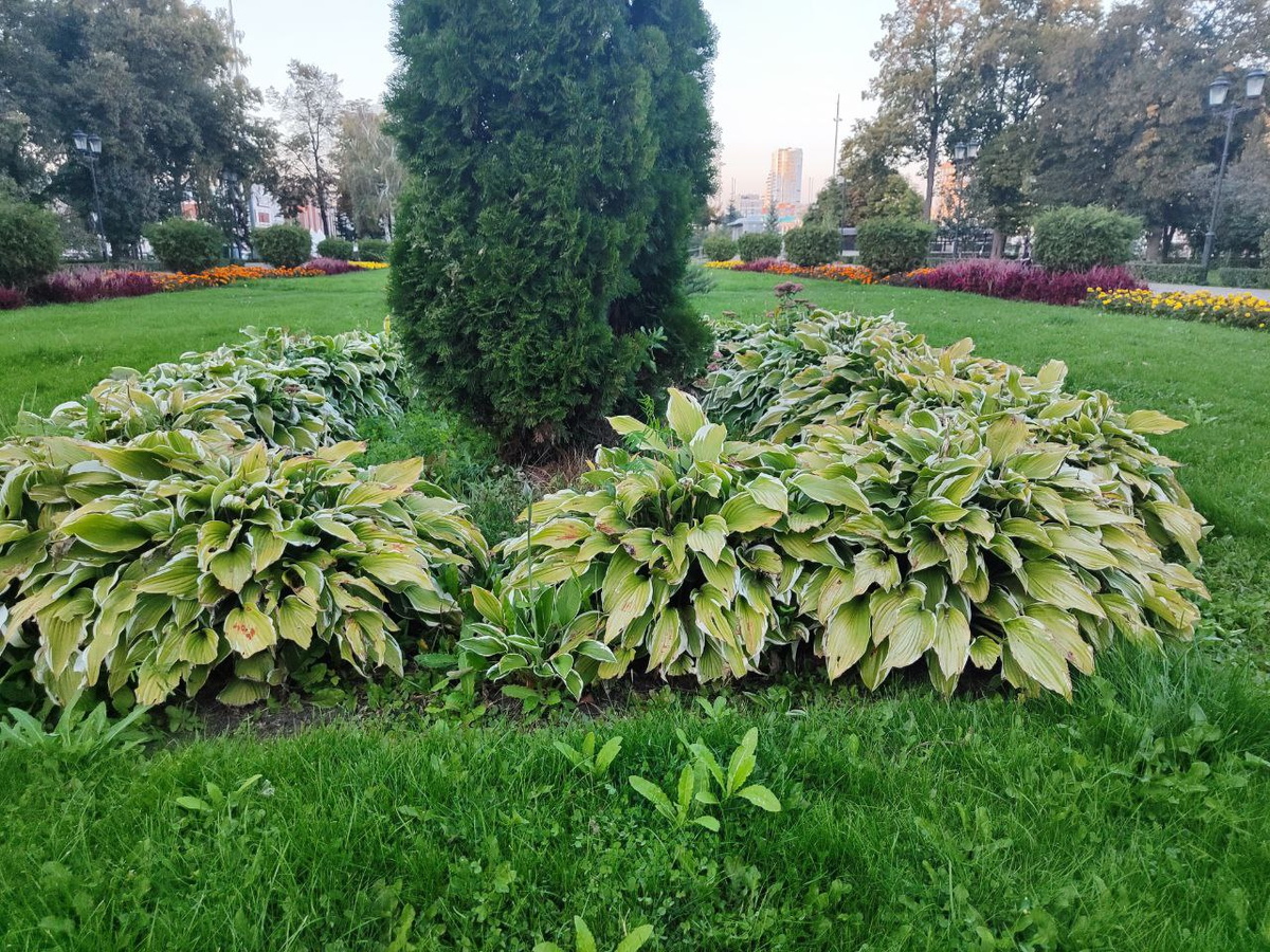 Фото автора.