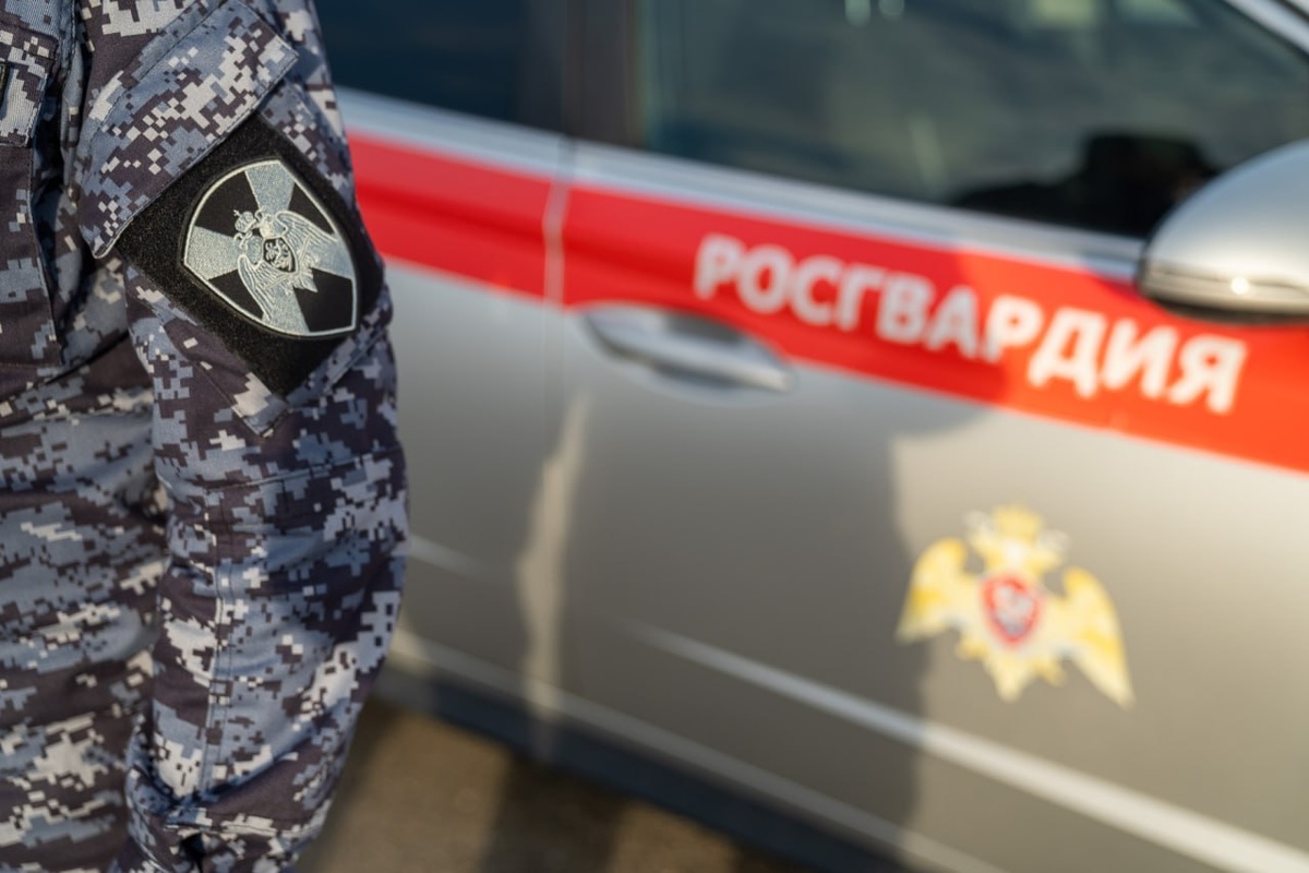    Фото: пресс-служба Росгвардии Краснодарского края