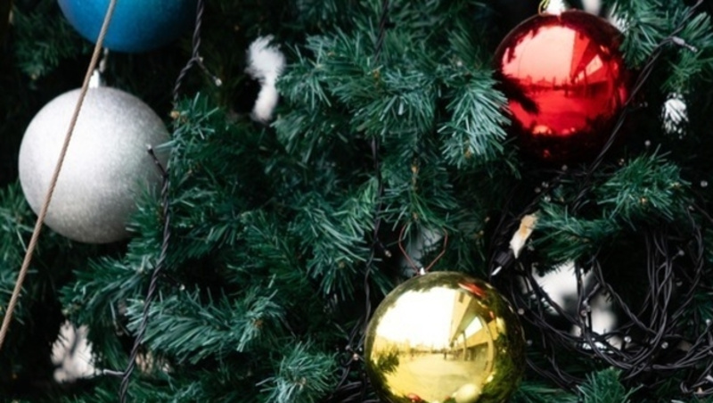      Фото: ИА «Победа26»