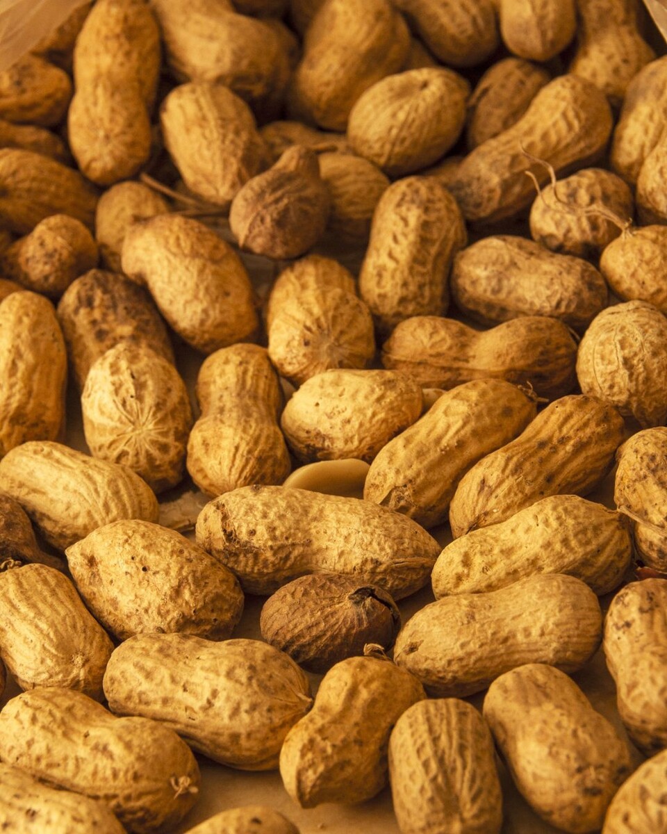 Источник фото: Canva