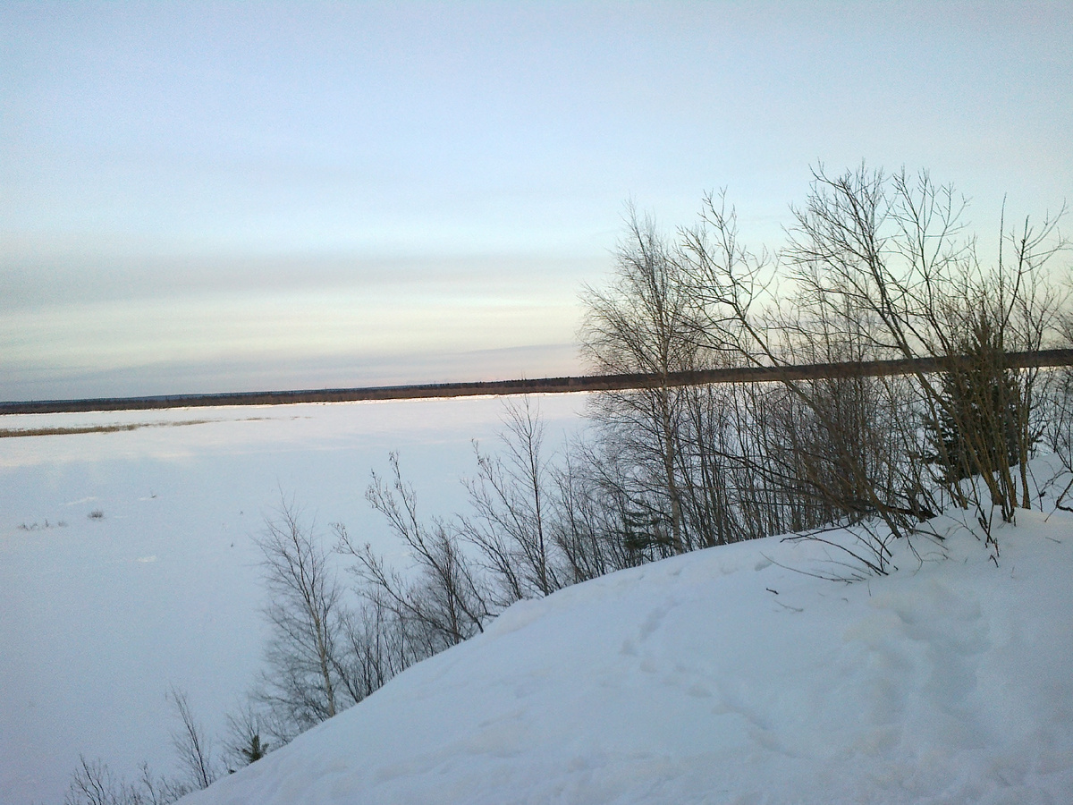 Берег Печоры. 