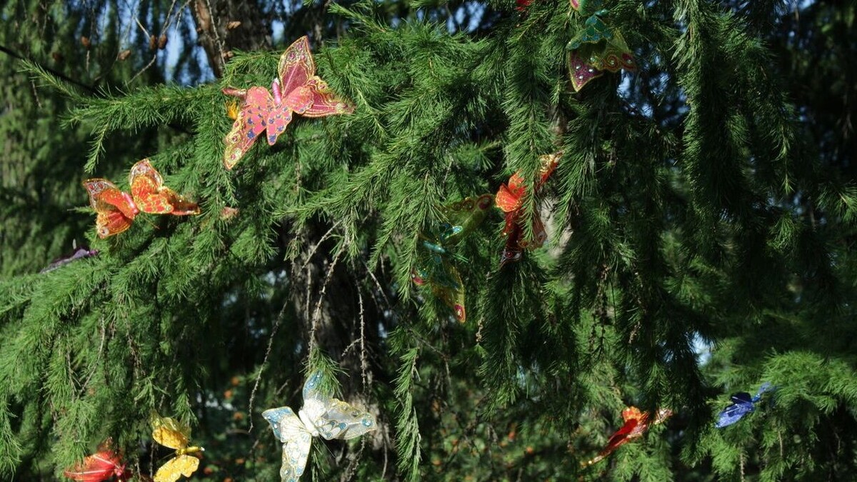     Источник: 1MI