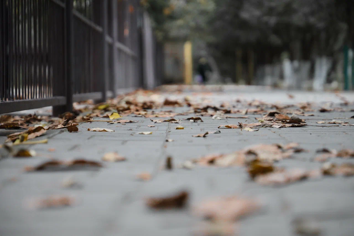    Фото: ТРК «Таврия»