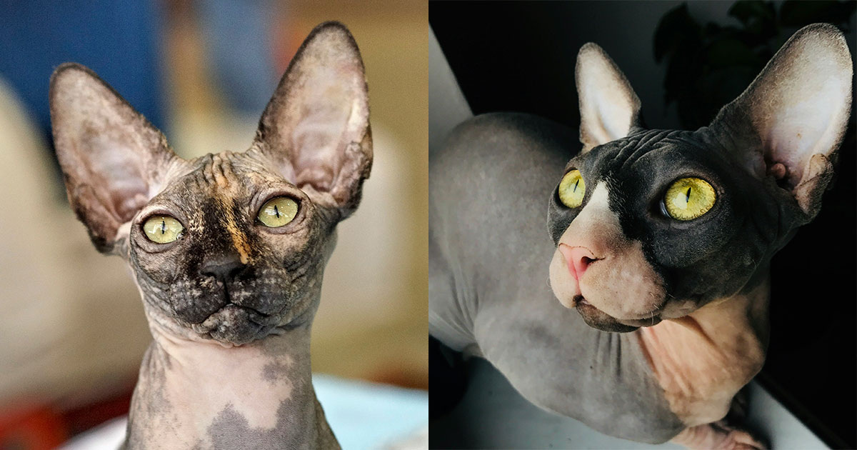 Sergey Semin & Hanna Listek / Unsplash