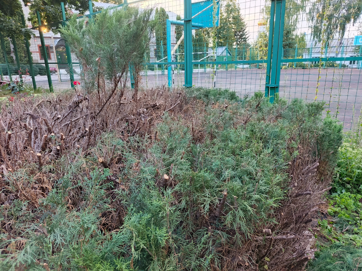 Осталось совсем чуть-чуть