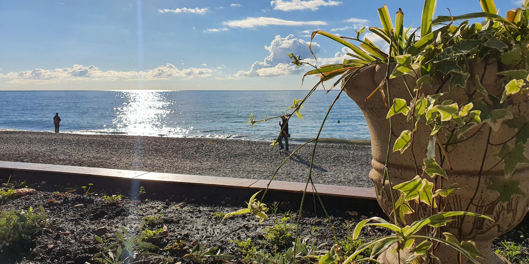 Зимуем в Лазаревском. 3 декабря
