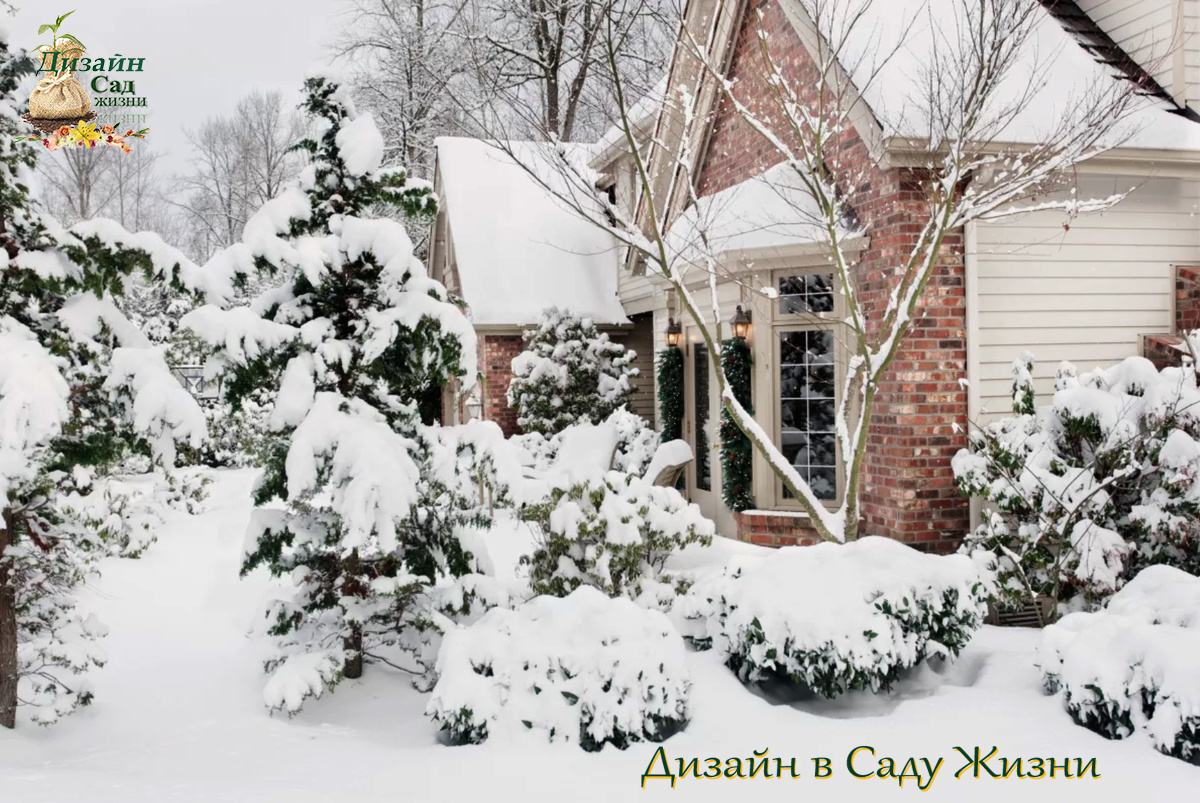 Как заборы, хозпостройки и дома меняют микроклимат участка