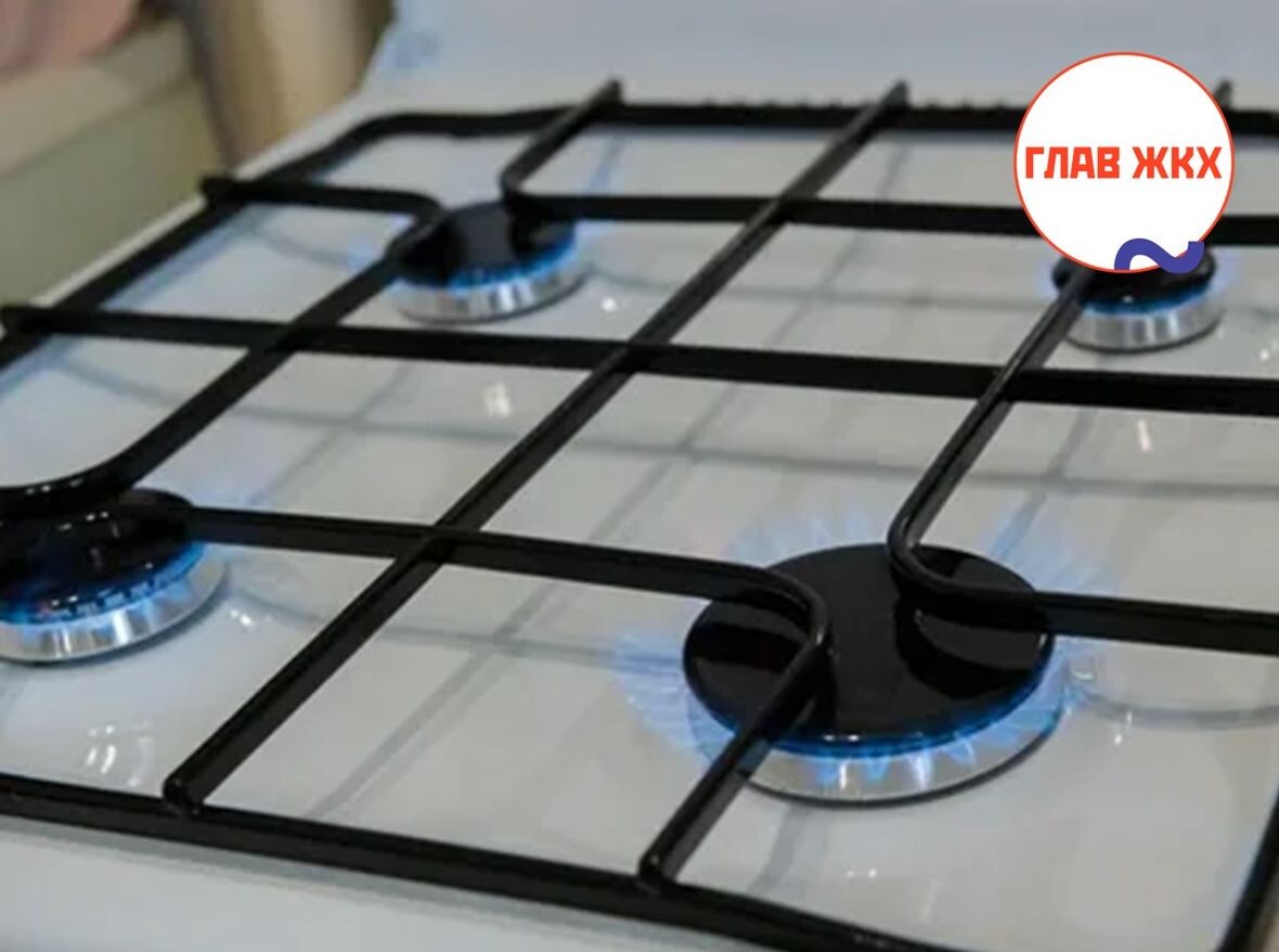 В Подмосковье газовую плиту теперь можно подключить через портал «Добродел»
