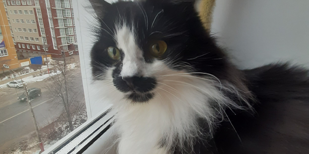 Дине 3 года!