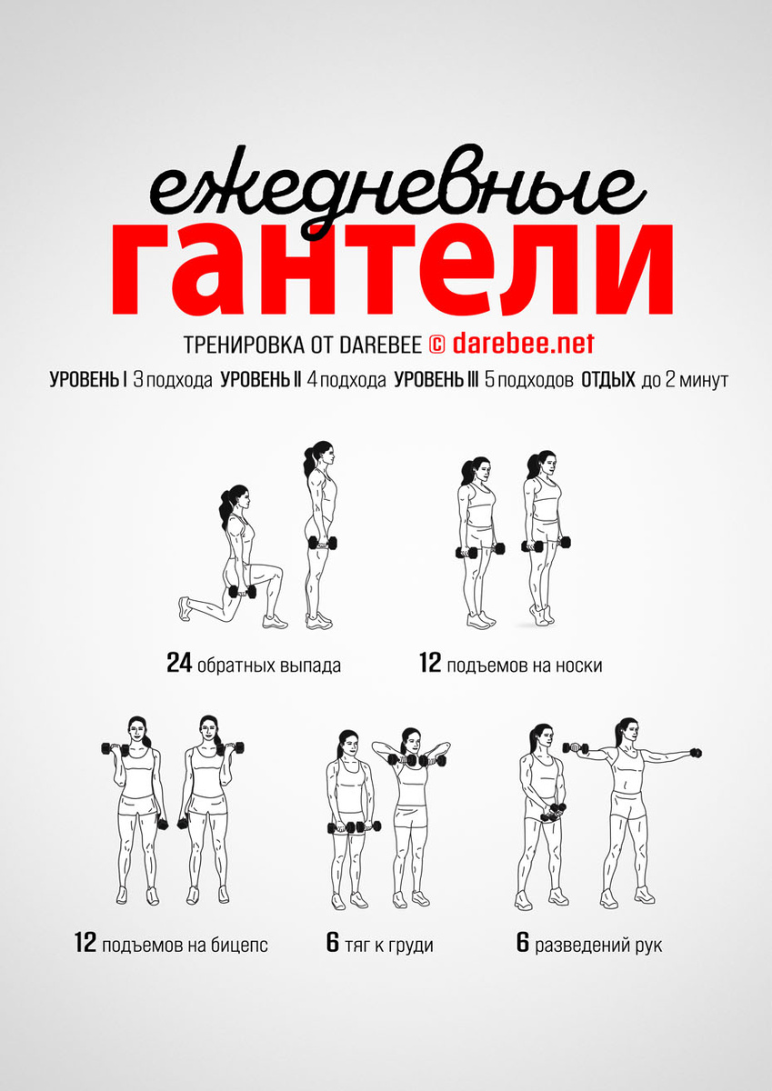 Daily Dumbbells Workout
