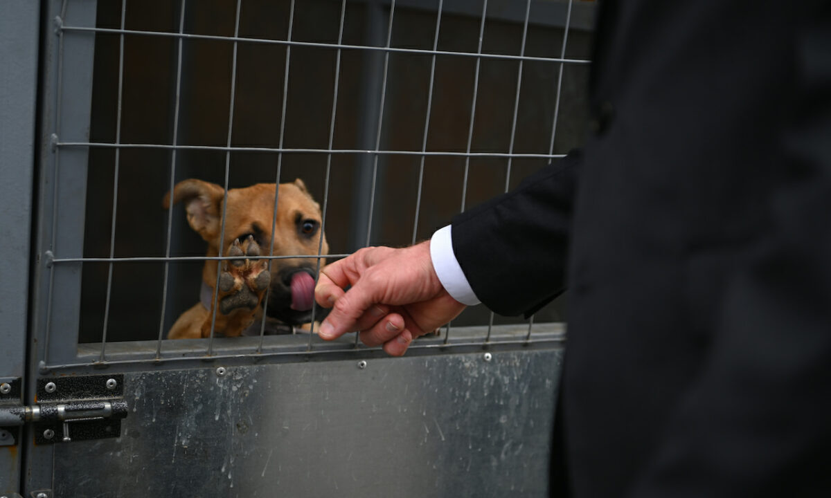    Фото Андрея Зубова