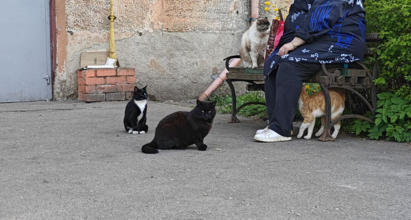    Фото: Первый городской канал Калининград
