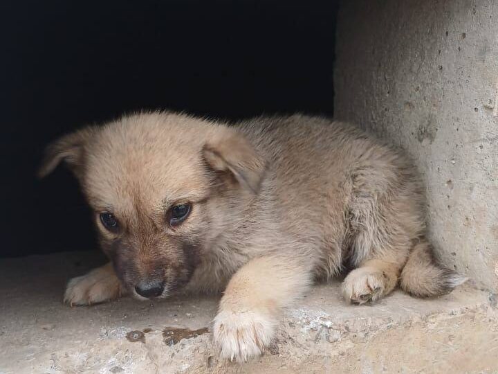 Чалтырь, Ростов-на-Дону