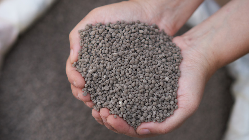 Суперфосфат. Фото: shutterstock.com