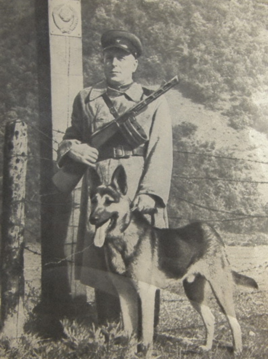 Фото из личного архива автора канала Во благо ❤️ 