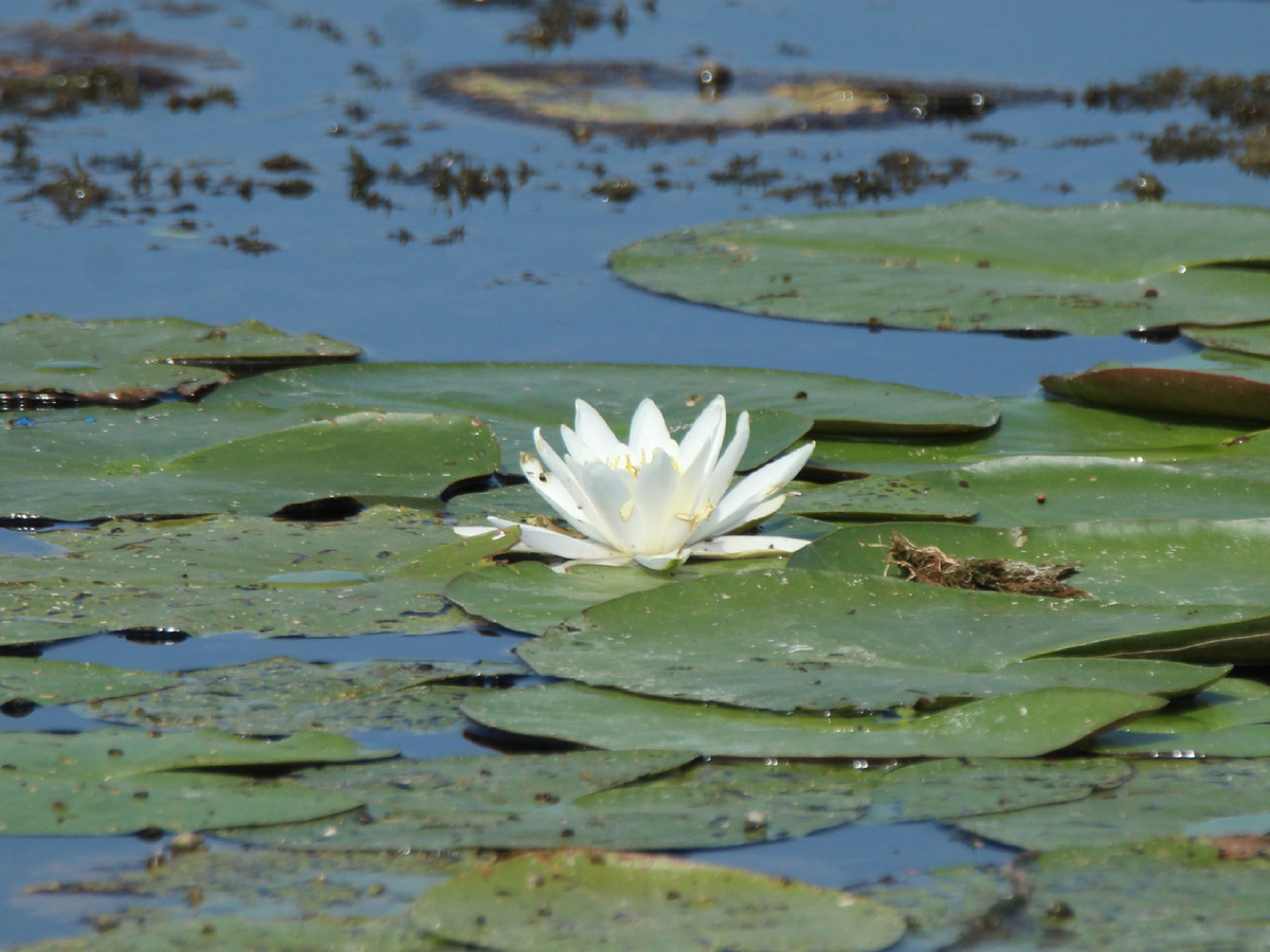 Фото: Министерство природных ресурсов Курской области