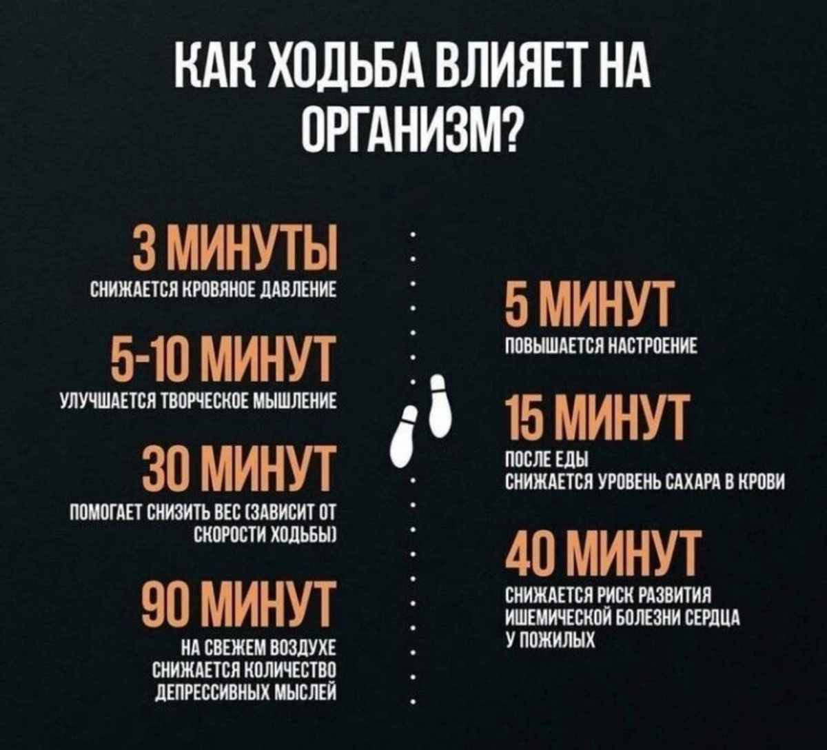 Картинка из сети.