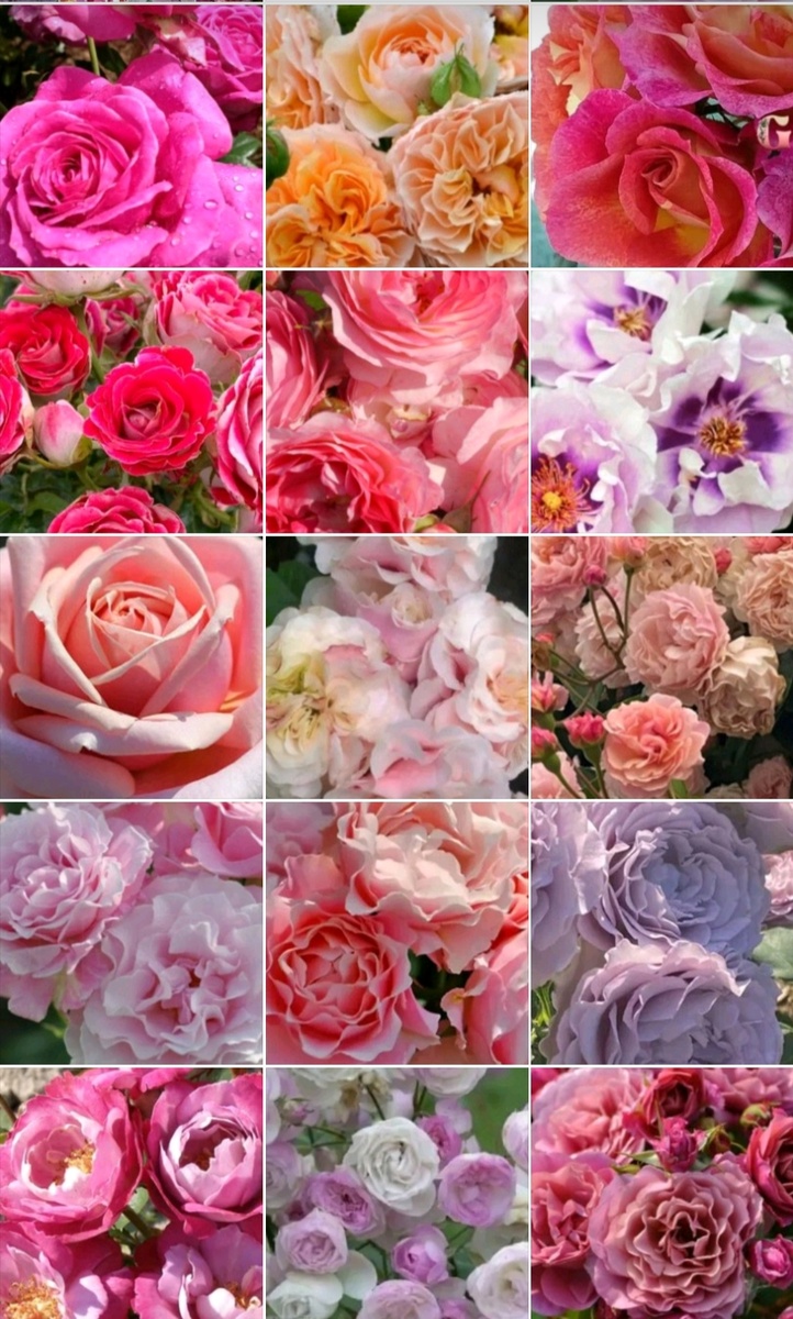 Смотрю и не верю. Нереальная красота.