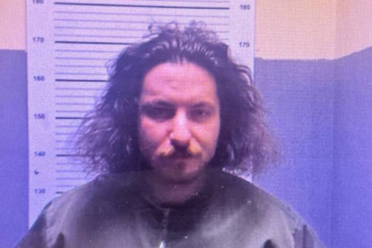 Фото: ГУ МВД России по г. Санкт-Петербургу и Ленинградской области