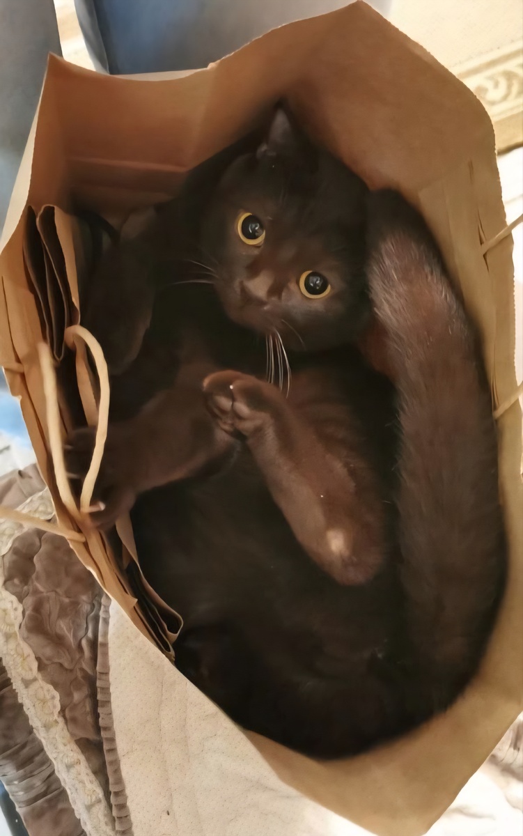 Главное чтобы удобно было 😅❤️