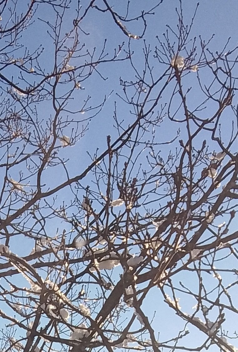 Фото автора "Первый снег". Здесь для релаксации