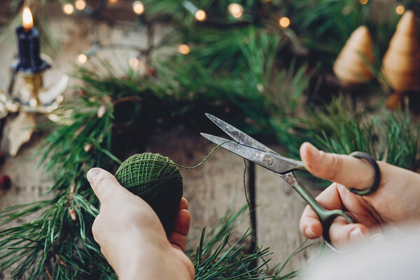 Volodymyr Hlukhovskyi/Shutterstock/FOTODOM  