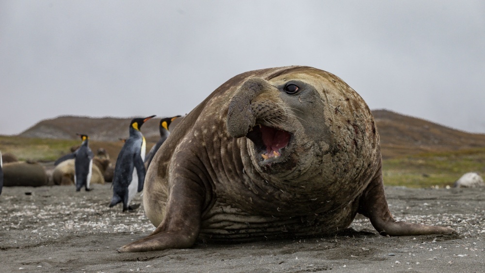     Фото: RichardJensen Photography/Shutterstock/FOTODOM