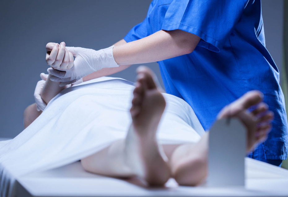    Shutterstock/FOTODOM