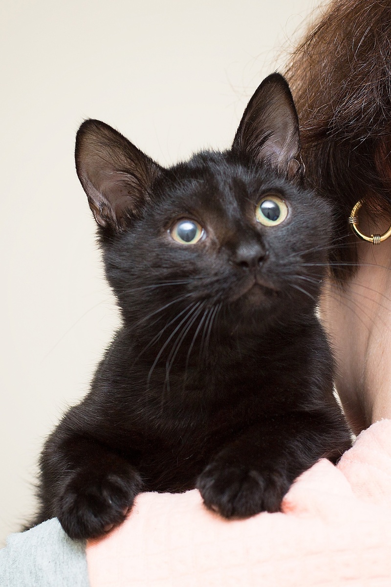 Про меня. да, про меня??