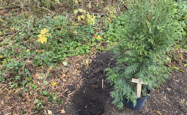    фото Курские известия