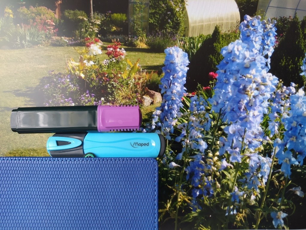 Дельфиниум. Нижние цветы синие, а выше голубые... (Я приложила маркеры и блокнот с синей обложкой к экрану для сравнения  цвета)