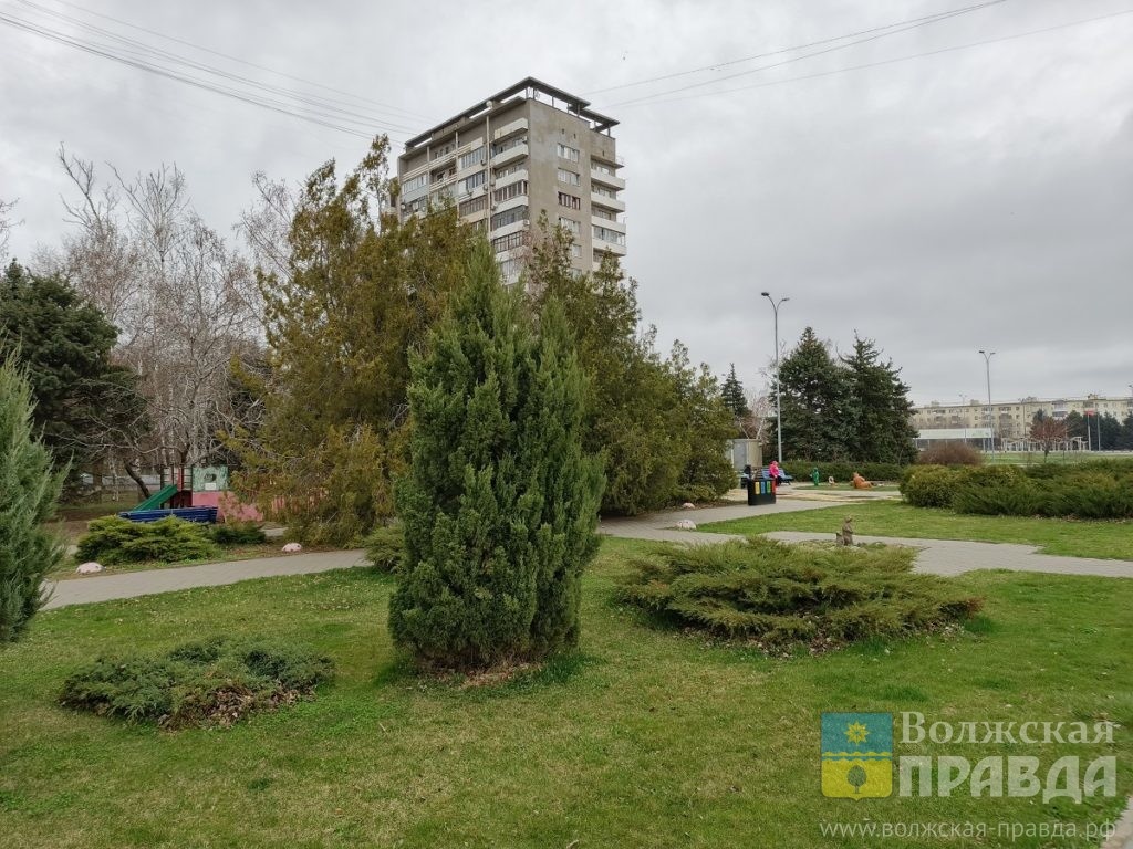     Много урн, есть маршрутки, война с самокатами и нет пробок: житель Екатеринбурга поражён Волжским
