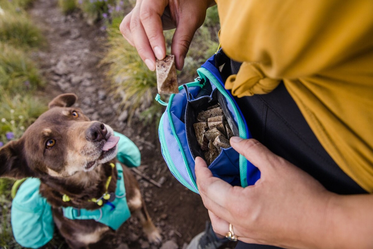 Сумка Ruffwear® HOME TRAIL™ HIP PACK
