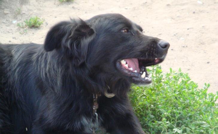    фото Курские известия