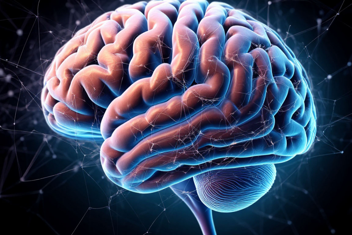    Фото: коллаж RuNews24.ru