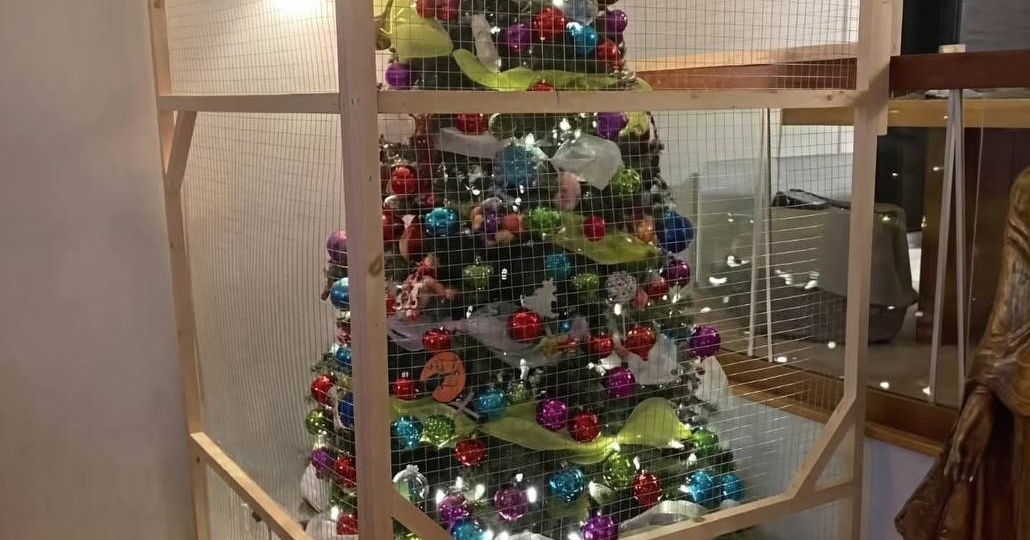 Как сохранить новогоднюю ёлку целой при наличии котика? Ставим её в клетку!