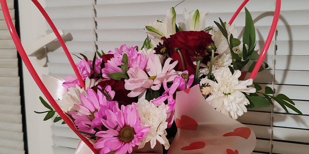 Что накопила на квартиру. Итоги ноября.