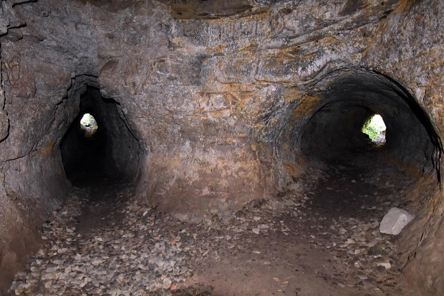Палоетоннели в Бразилии. Фотография из интернета