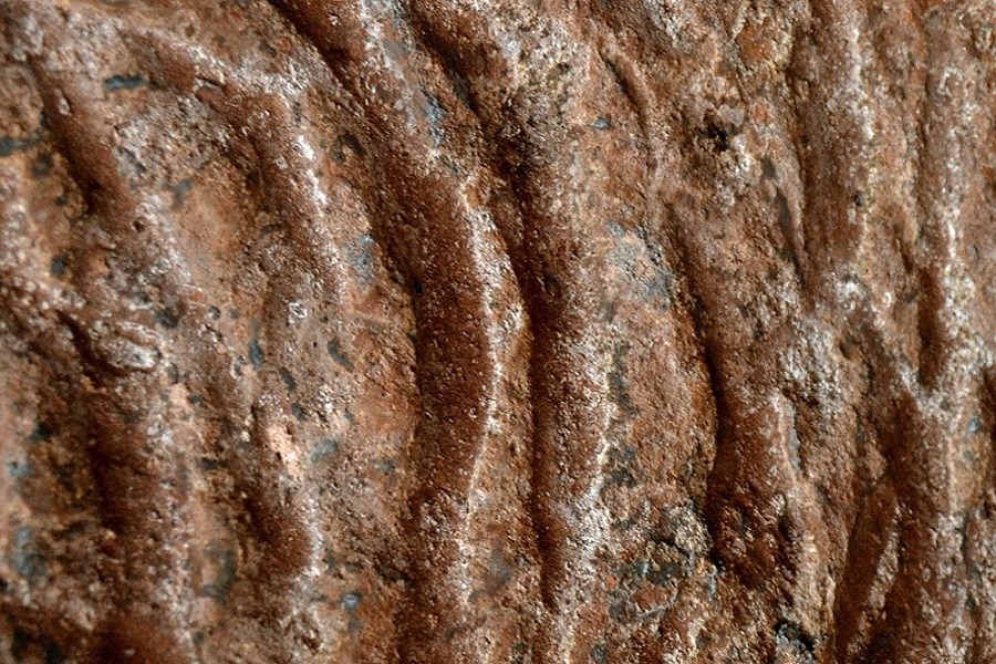 Палеотоннели в Бразилии. Фотография из интернета