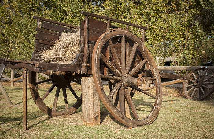    Фото: IMAGO/Filippo Carlot/TASS