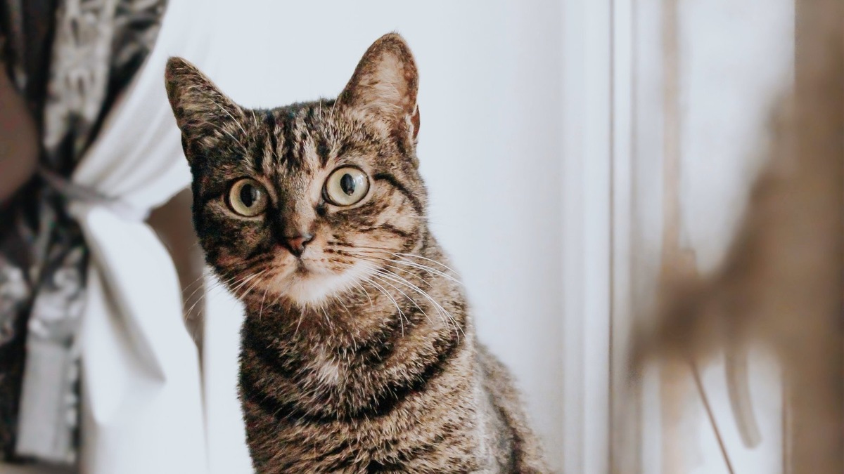    Понимание причин — первый шаг к решению проблемы